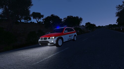 2010 BMW X5 NEF