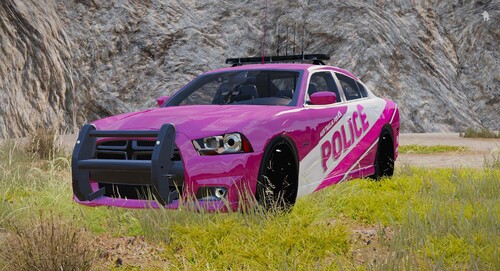 Australisches Polizei Auto <3