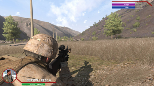 Ingame HUD