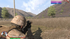 Ingame HUD