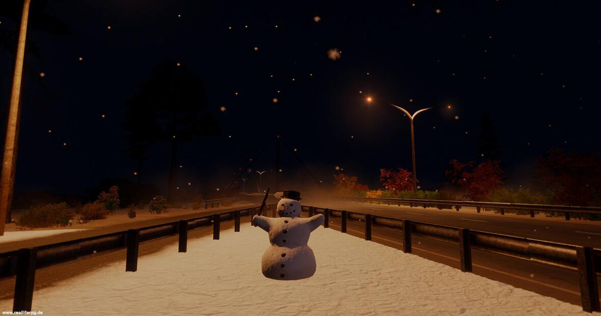 Havenborn Winter