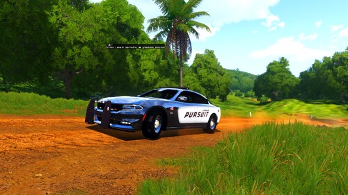 Dodge Charger Pursuit
