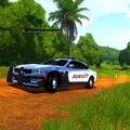 Dodge Charger Pursuit