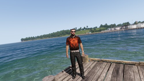 Zivilisten Skin - Lion Vorne