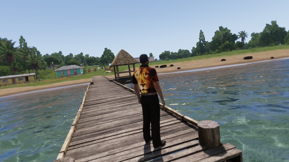 Zivilisten Skin - Lion Hinten