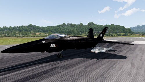 BlackWasp