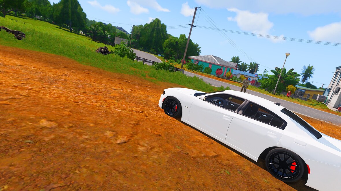 Dodge Charger R/T 15