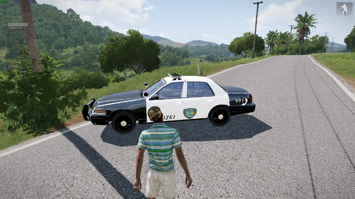 USA SKin