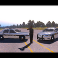 Traffic Enforcement