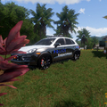 [A3F] Cayenne 2012 Police