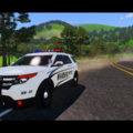 US MARSHAL SERVICE