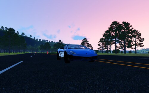 Police Car