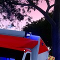 RTW