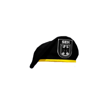 NewCityLife SEK Beret