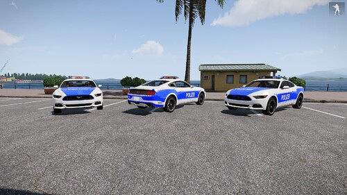 BMW X6 | Ford Mustang Polizei