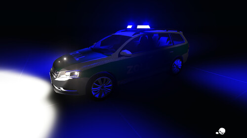 Zoll Passat B7 bei Nacht