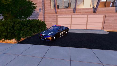 Police Skin