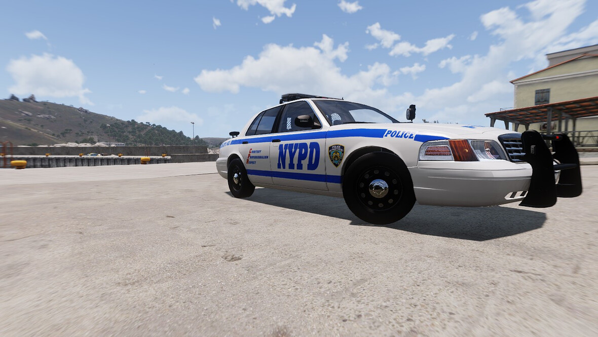 NYPD Skin