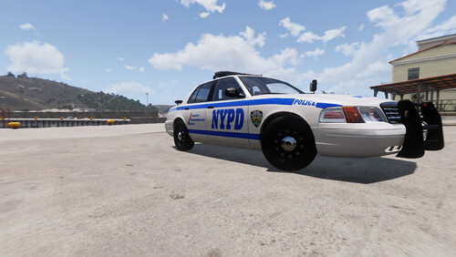 NYPD Skin