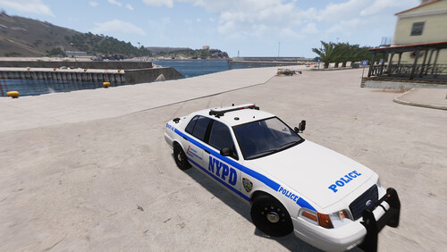 NYPD Skin