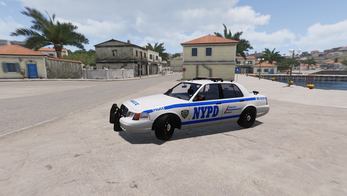 NYPD Skin