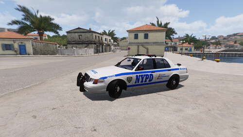 NYPD Skin