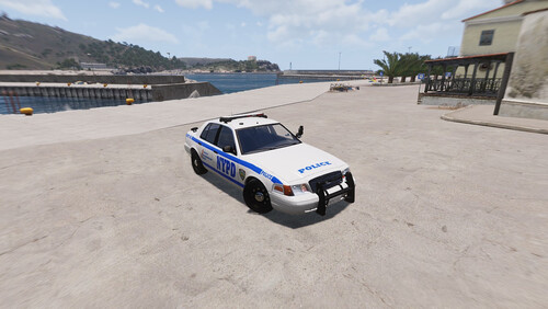 NYPD Skin