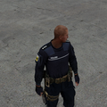 Polizei Skin "Polizeihauptkommissar A11​"