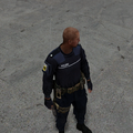 Polizei Skin "Polizeikommissar"