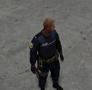 Polizei Skin "Polizeikommissar"