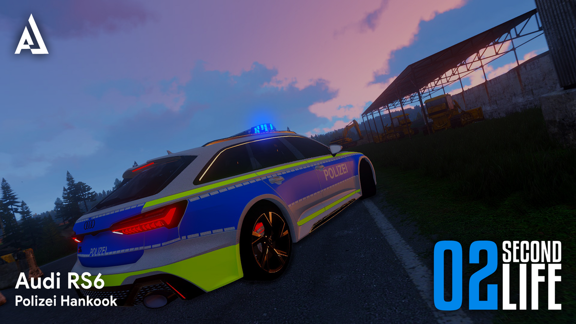 Audi RS6 Avant Polizei Hankook