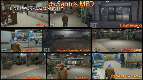 LSFD