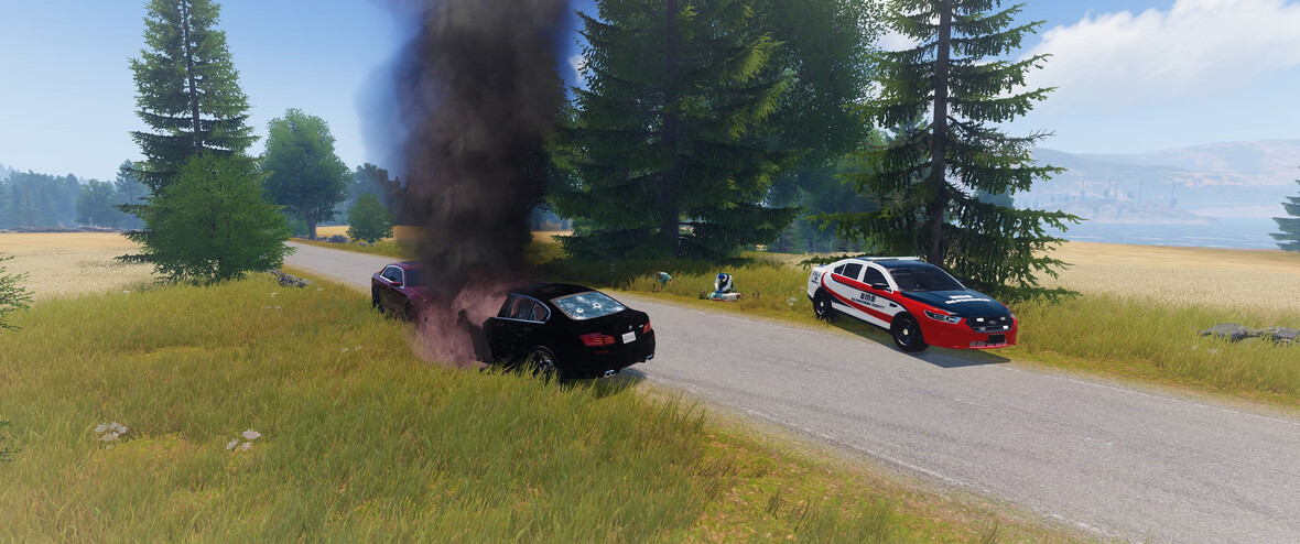 EMS (Unfall)